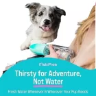 best large dog water bottle