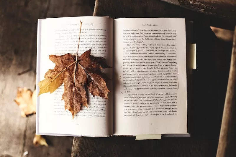 Dive into the World of Literature: Top 10 Must-Read Books and Recommendations Just for You